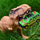 Illustration for article titled Welcome to the Jungle: Matchbox Jurassic Legacy Collection